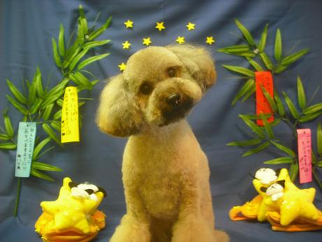 ファイル 4175-2.jpg