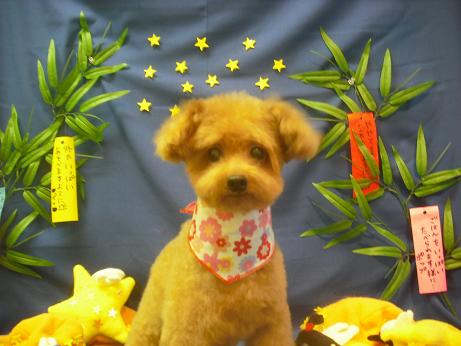 ファイル 4176-2.jpg