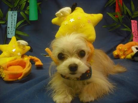 ファイル 4177-1.jpg