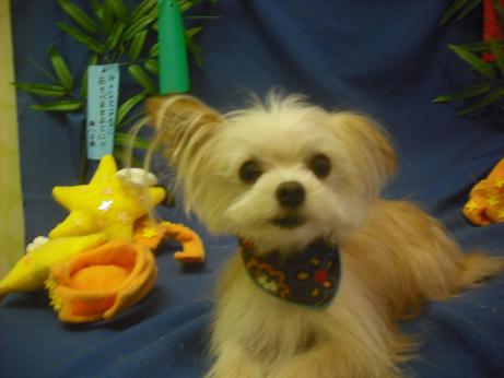 ファイル 4177-2.jpg