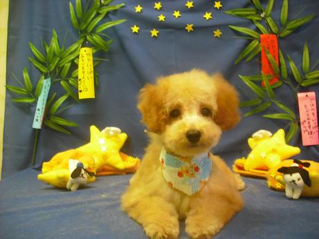 ファイル 4178-2.jpg