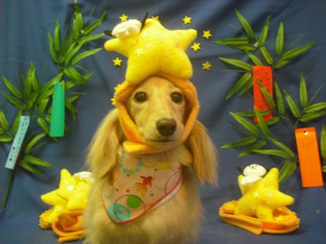 ファイル 4179-1.jpg