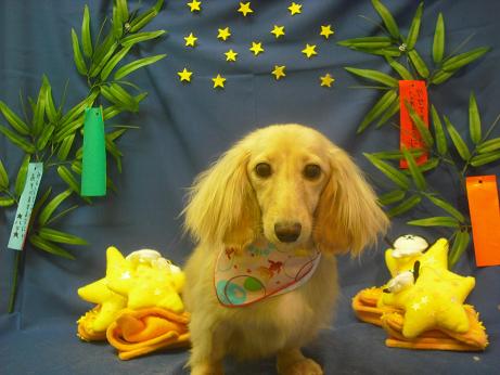 ファイル 4179-2.jpg