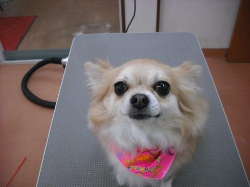 ファイル 418-1.jpg