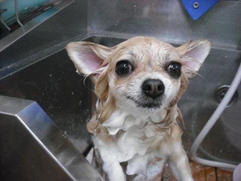 ファイル 418-2.jpg