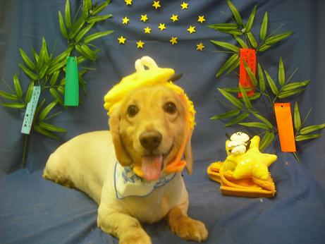 ファイル 4180-1.jpg