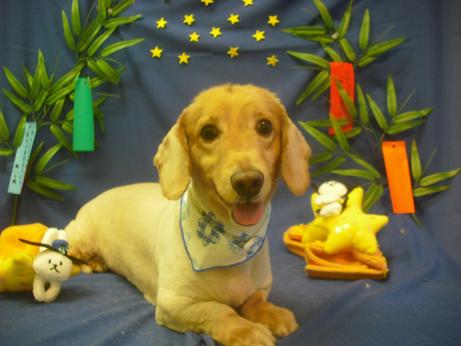 ファイル 4180-2.jpg