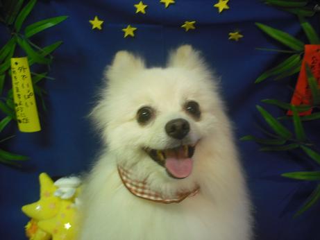 ファイル 4181-2.jpg