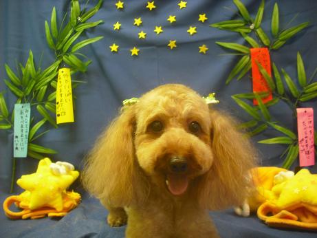 ファイル 4183-2.jpg