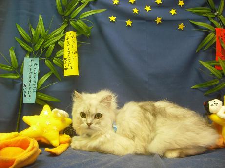 ファイル 4184-1.jpg