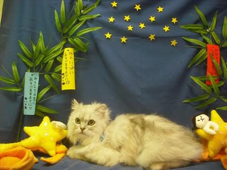 ファイル 4184-2.jpg