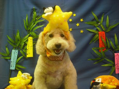 ファイル 4187-1.jpg