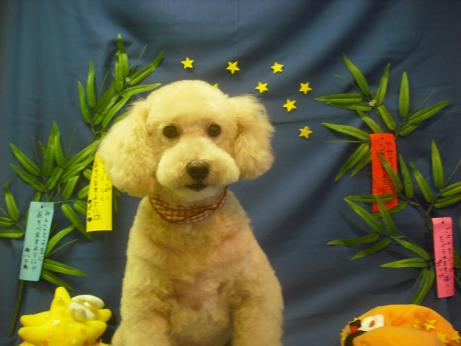 ファイル 4187-2.jpg