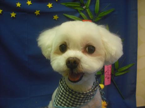 ファイル 4188-2.jpg