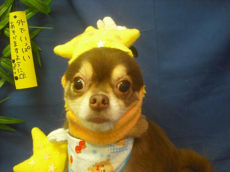 ファイル 4189-1.jpg