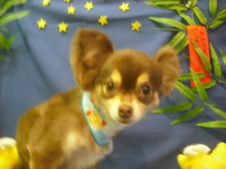 ファイル 4189-2.jpg