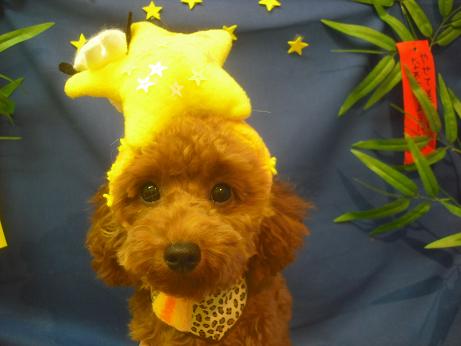 ファイル 4190-1.jpg