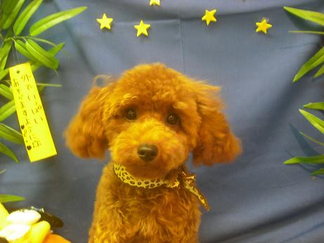 ファイル 4190-2.jpg