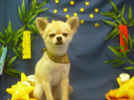 ファイル 4191-2.jpg