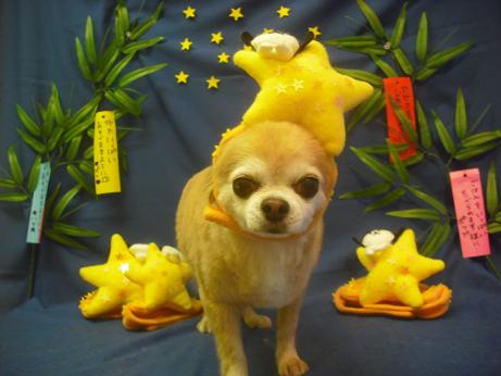 ファイル 4192-1.jpg