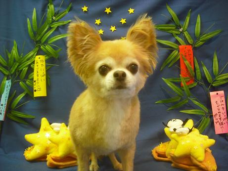 ファイル 4192-2.jpg