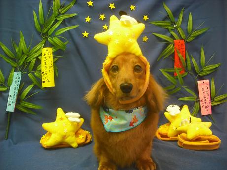 ファイル 4193-1.jpg