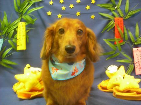 ファイル 4193-2.jpg