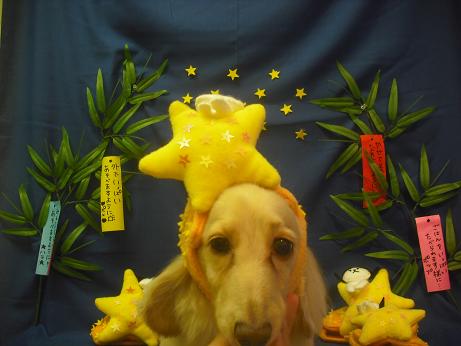 ファイル 4194-1.jpg