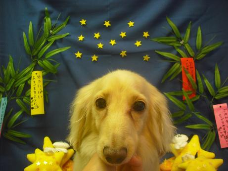 ファイル 4194-2.jpg