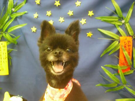 ファイル 4195-2.jpg