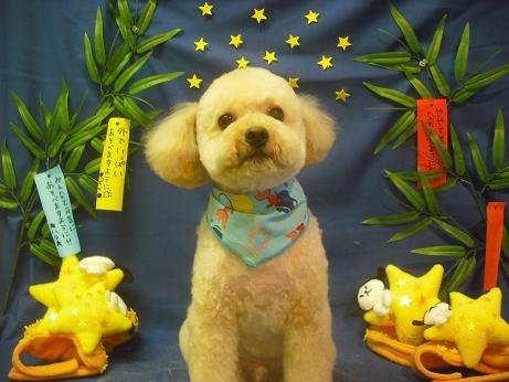 ファイル 4197-2.jpg