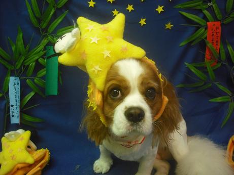 ファイル 4198-1.jpg