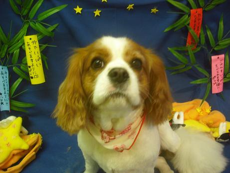 ファイル 4198-2.jpg