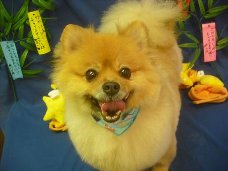 ファイル 4199-2.jpg