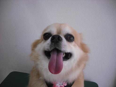 ファイル 42-1.jpg