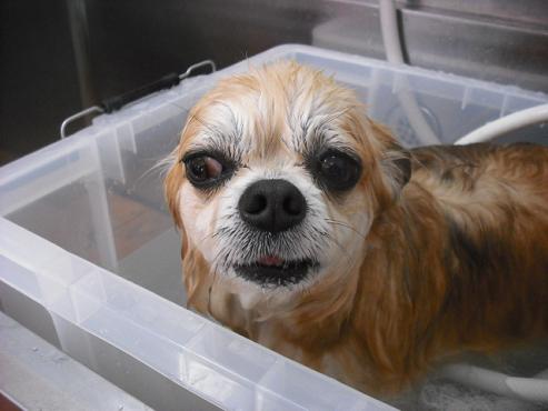 ファイル 42-2.jpg