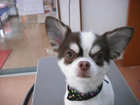 ファイル 420-1.jpg