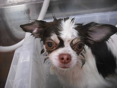 ファイル 420-2.jpg