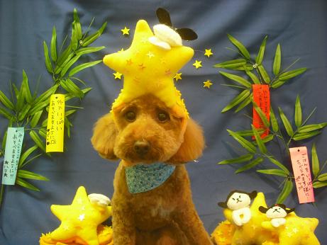 ファイル 4200-1.jpg