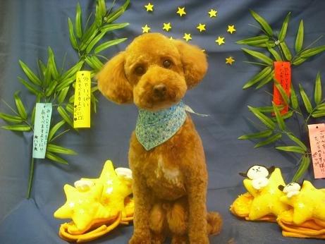 ファイル 4200-2.jpg