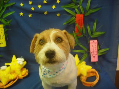 ファイル 4201-2.jpg