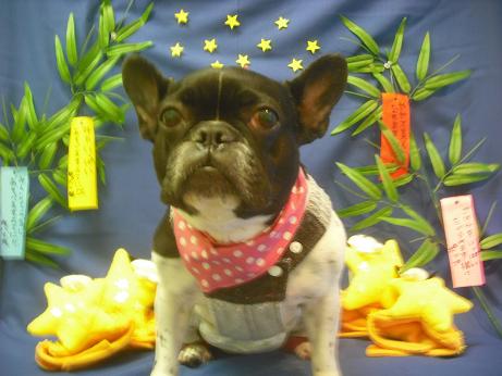 ファイル 4203-2.jpg