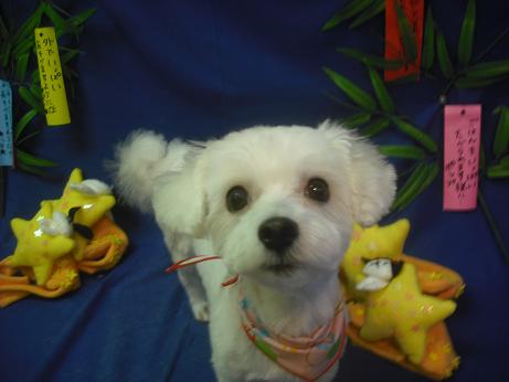 ファイル 4204-2.jpg