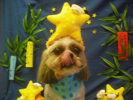 ファイル 4205-1.jpg