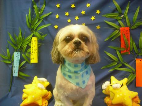 ファイル 4205-2.jpg