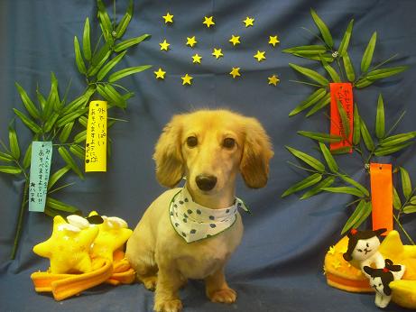 ファイル 4206-2.jpg