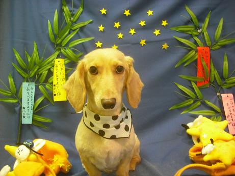 ファイル 4207-2.jpg