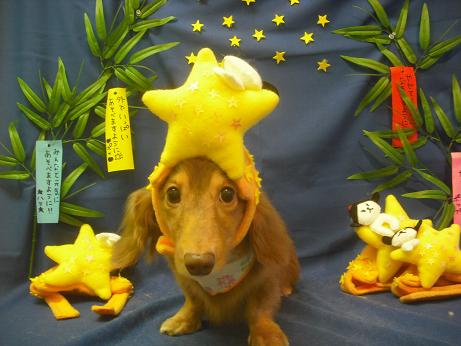 ファイル 4209-1.jpg