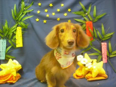 ファイル 4209-2.jpg