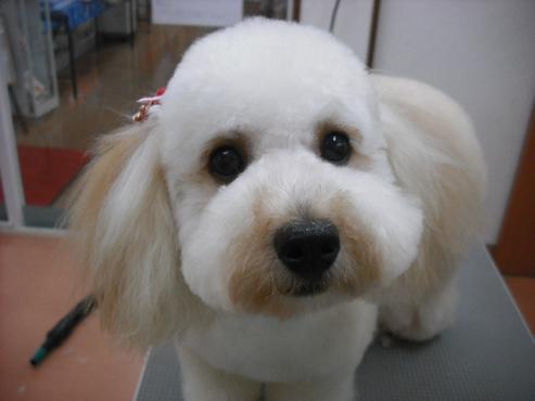 ファイル 421-1.jpg